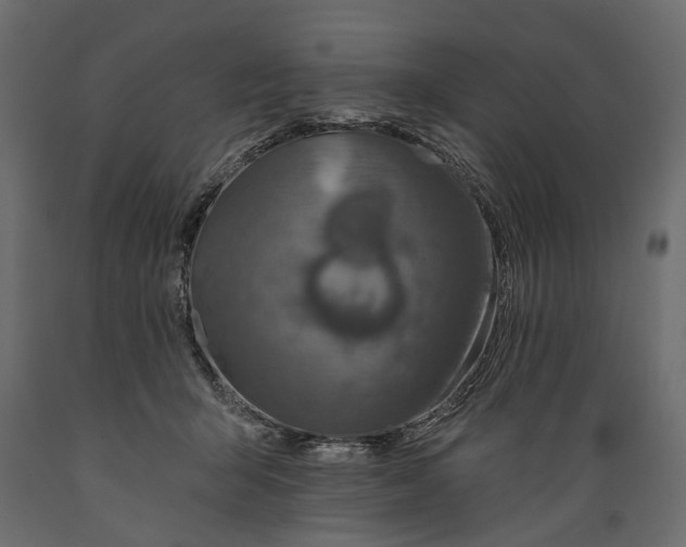 X0000088890415200707061436