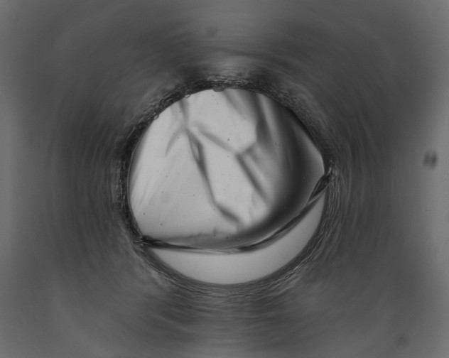X0000088890416200707061436