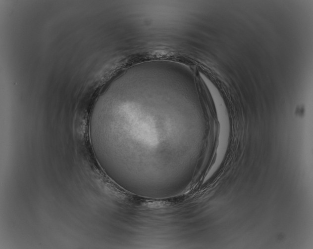 X0000088890417200707061436