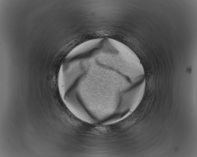 X0000088890418200707061436