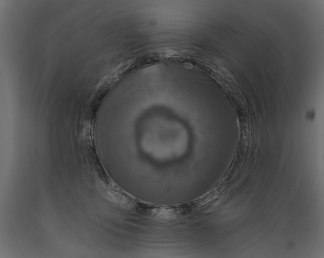 X0000088890419200707061436