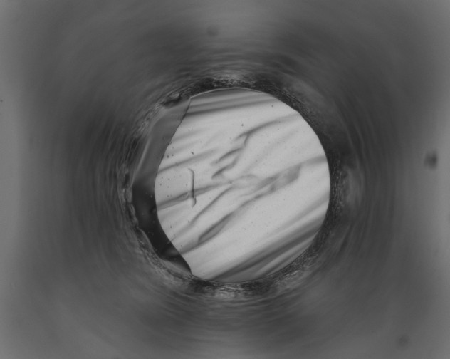 X0000088890420200707061436