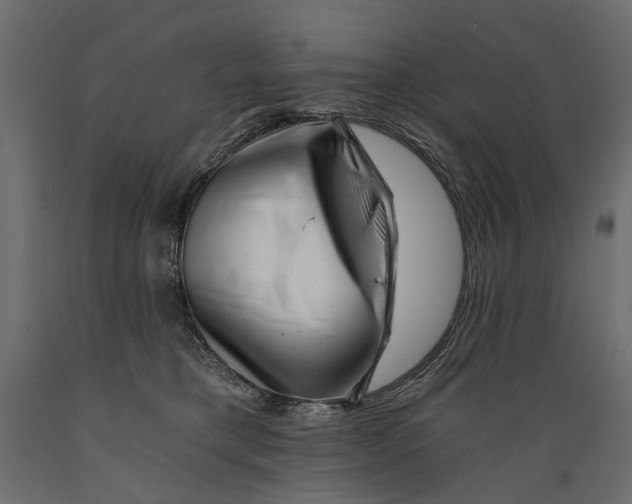 X0000088890421200707061436