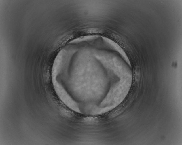 X0000088890422200707061436