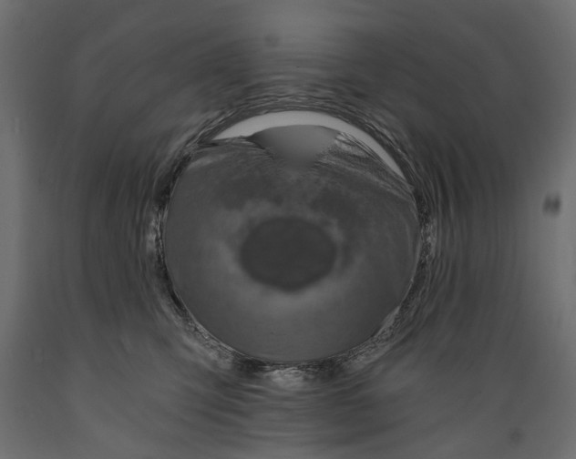 X0000088890423200707061436