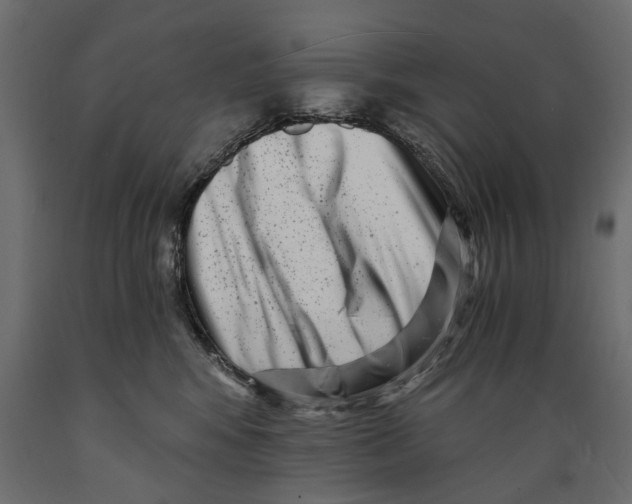 X0000088890424200707061436