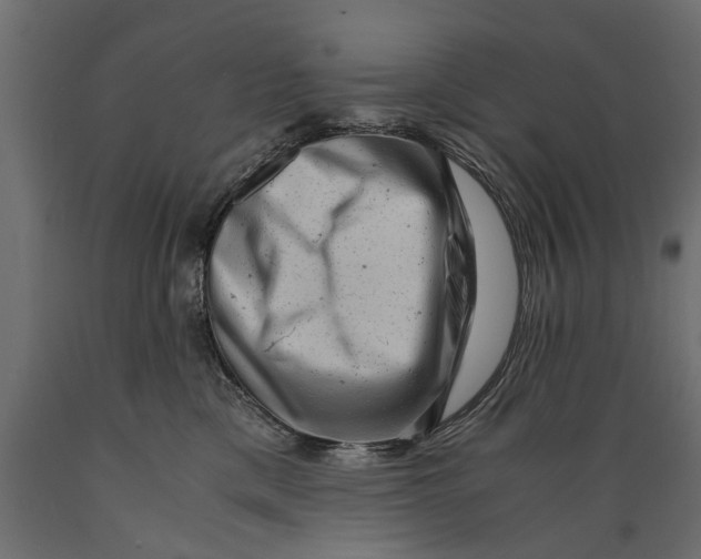 X0000088890425200707061436