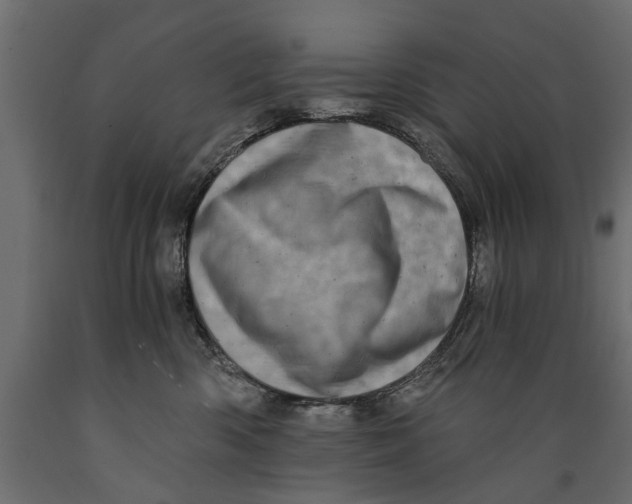 X0000088890426200707061436