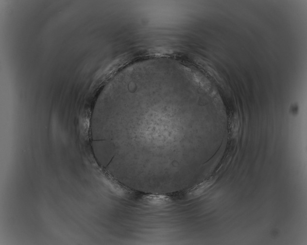 X0000088890427200707061436