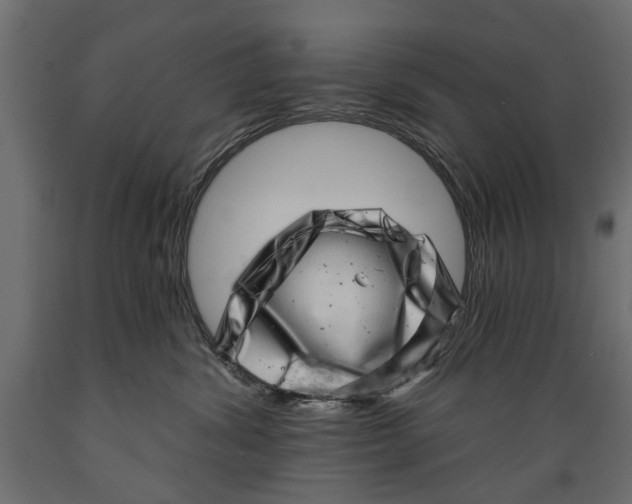 X0000088890428200707061436