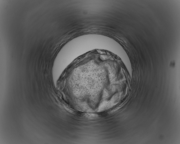 X0000088890429200707061436