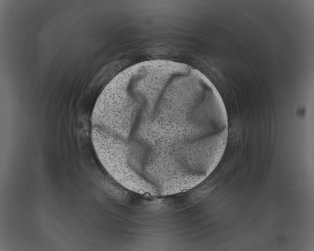 X0000088890430200707061436