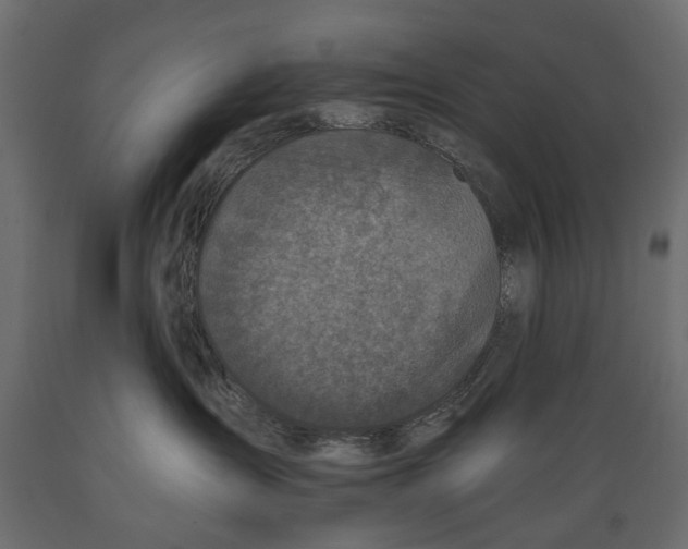 X0000088890431200707061436