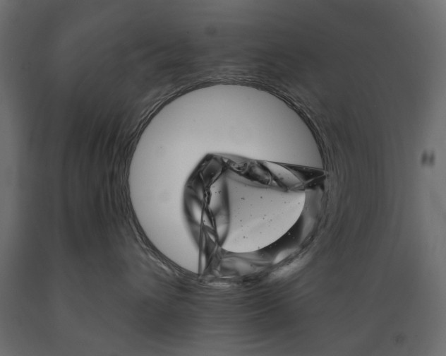 X0000088890432200707061436