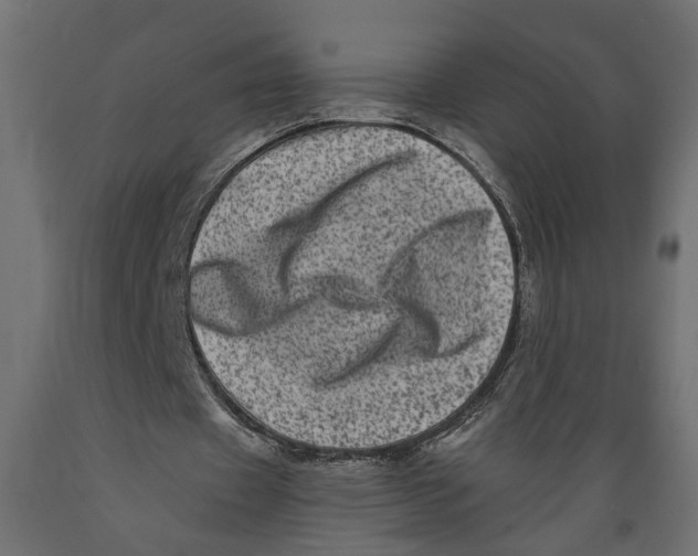X0000088890433200707061435