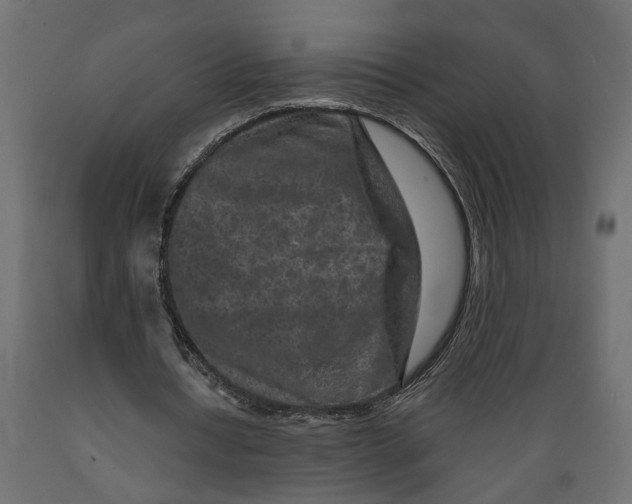 X0000088890434200707061435