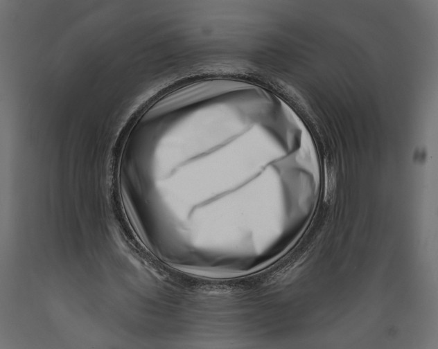 X0000088890435200707061435