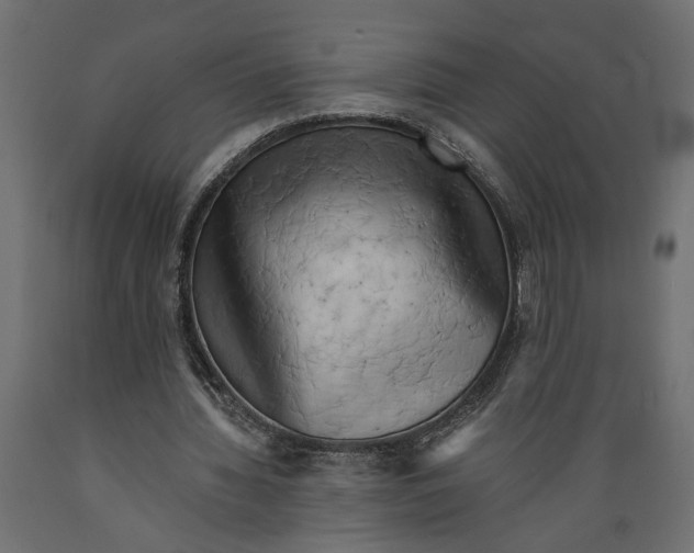 X0000088890436200707061435