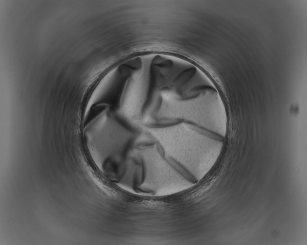 X0000088890437200707061435
