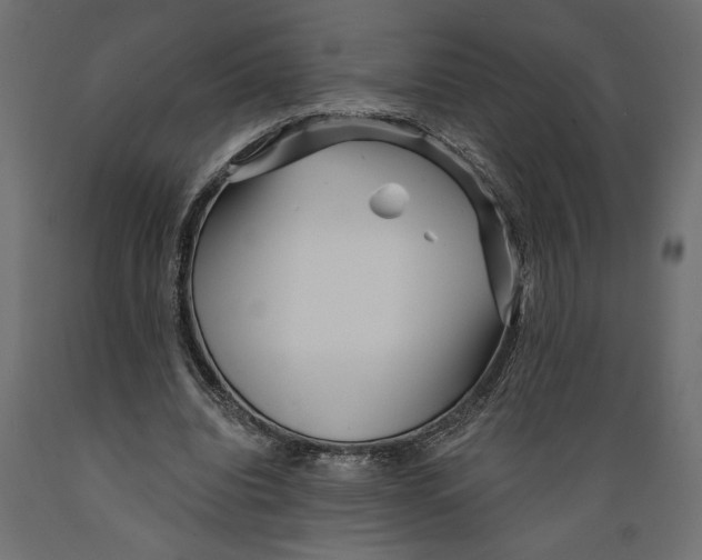 X0000088890440200707061435