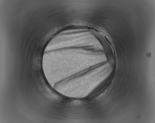 X0000088890441200707061435