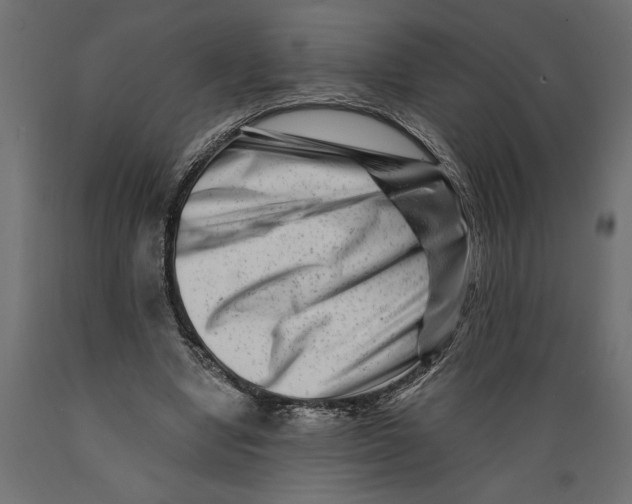 X0000088890442200707061435