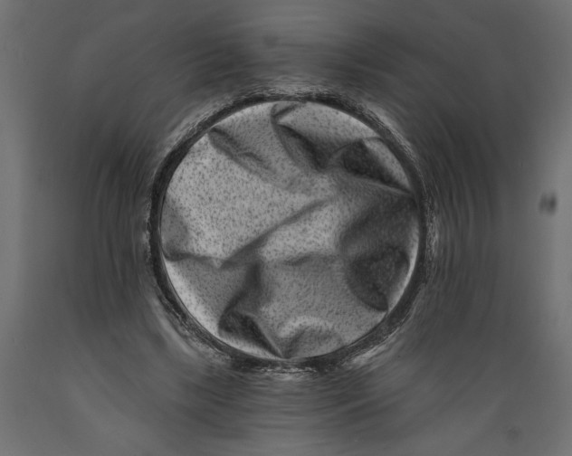 X0000088890443200707061435