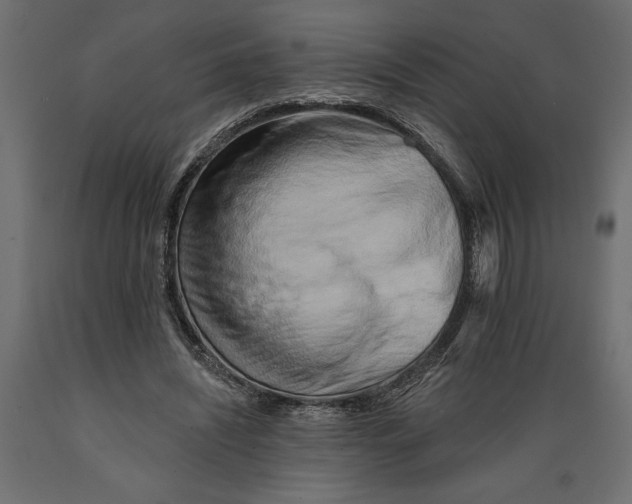 X0000088890444200707061435