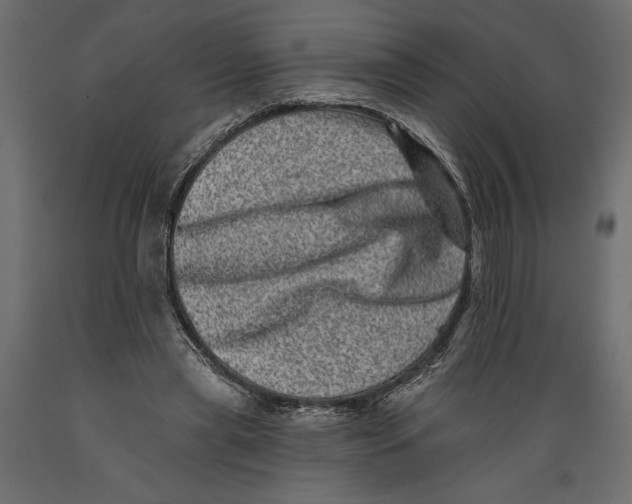 X0000088890445200707061435