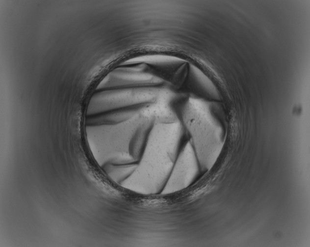 X0000088890446200707061435