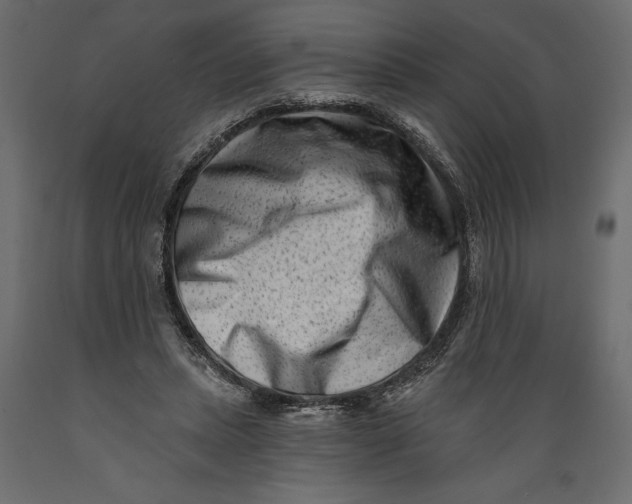 X0000088890447200707061435