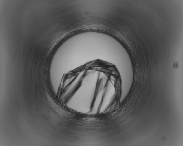 X0000088890448200707061435