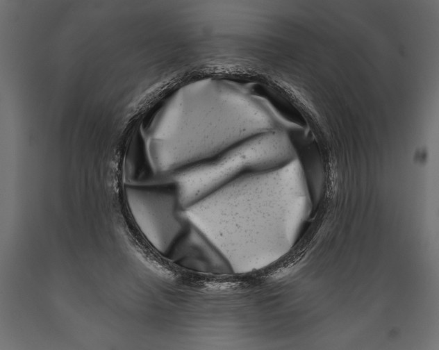 X0000088890450200707061435