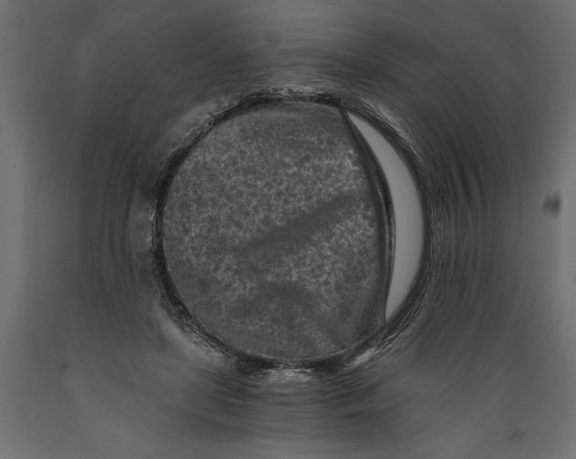 X0000088890451200707061435