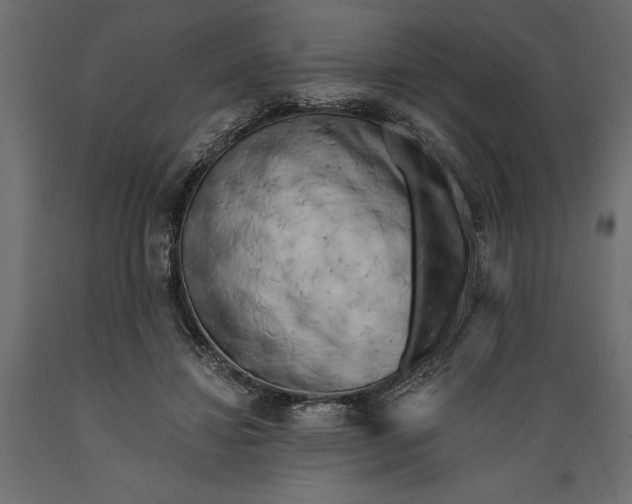 X0000088890452200707061435