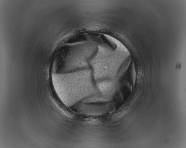 X0000088890454200707061435