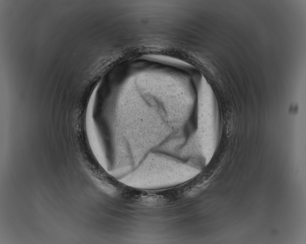 X0000088890455200707061436