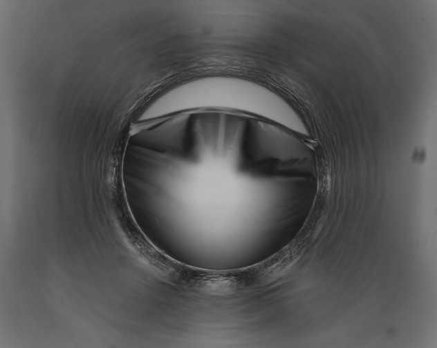 X0000088890456200707061436