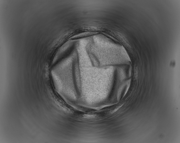 X0000088890457200707061436