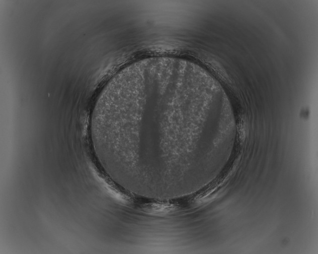 X0000088890458200707061436