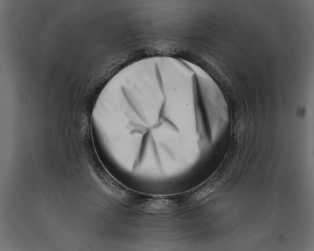 X0000088890459200707061436