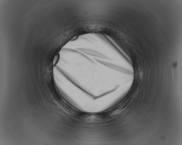 X0000088890460200707061436