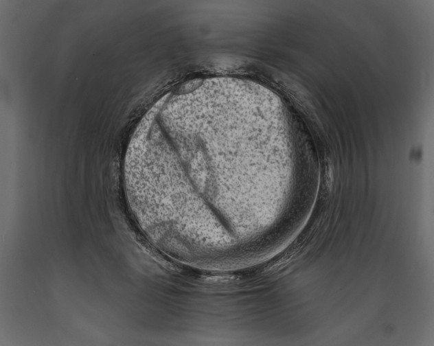 X0000088890461200707061436
