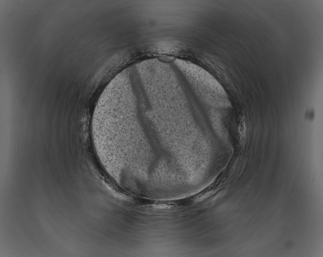 X0000088890462200707061436