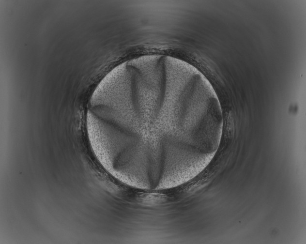 X0000088890463200707061436