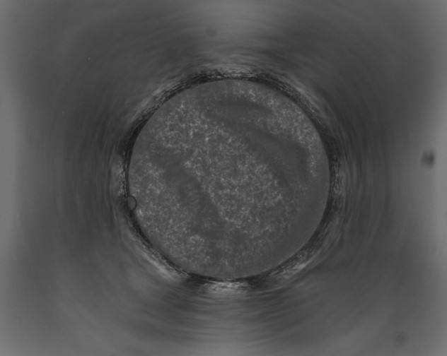 X0000088890465200707061436