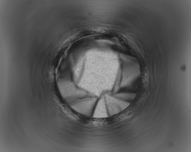 X0000088890466200707061436