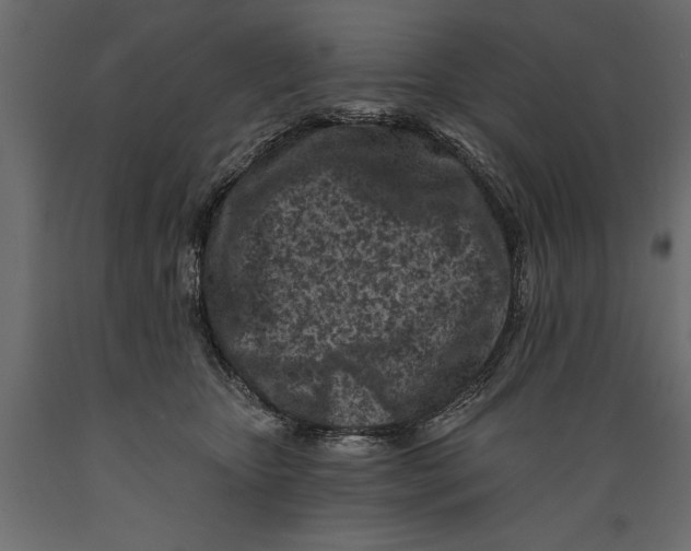 X0000088890467200707061436
