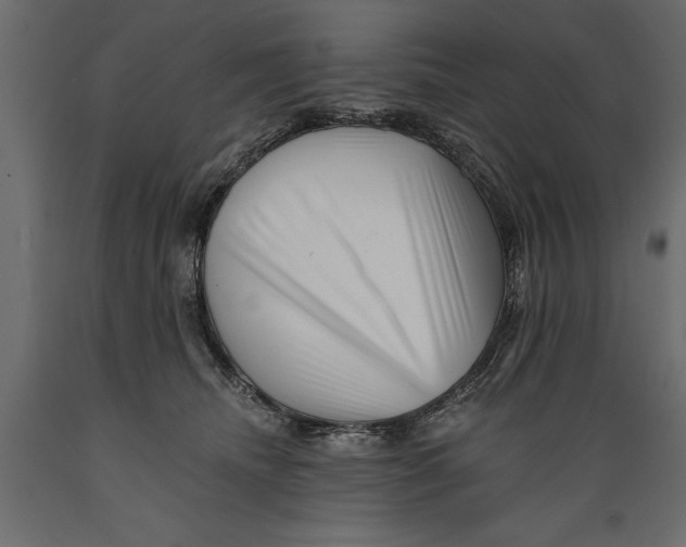 X0000088890468200707061436