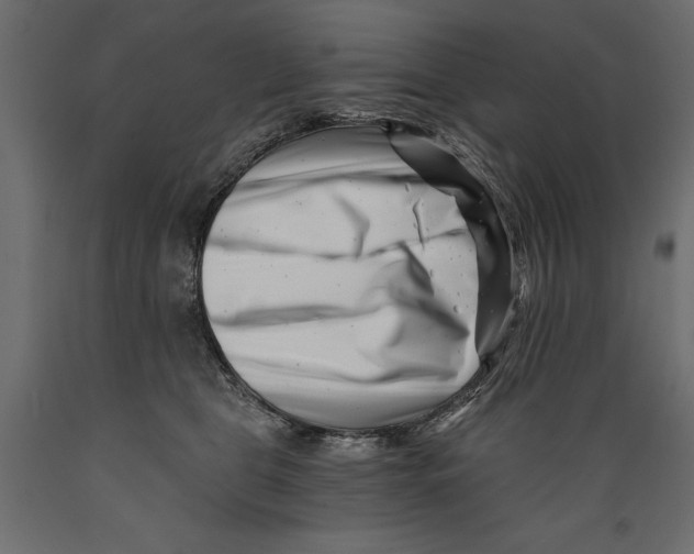 X0000088890469200707061436